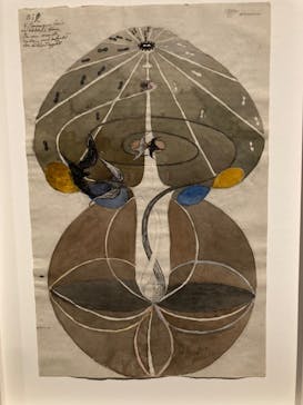 ヒルマ・アフ・クリント展（東京国立近代美術館）に投稿された画像（2025/6/15）