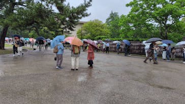 奈良国立博物館開館130年記念特別展「超 国宝―祈りのかがやきー」	に投稿された画像（2025/6/15）
