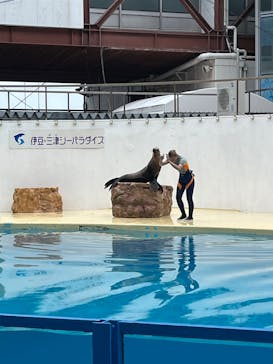 伊豆・三津シーパラダイスに投稿された画像（2025/6/15）