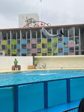 伊豆・三津シーパラダイスに投稿された画像（2025/6/15）