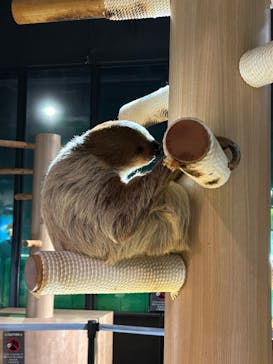 DMMかりゆし水族館に投稿された画像（2025/6/15）