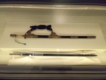 正倉院 THE SHOW －感じる。いま、ここにある奇跡－に投稿された画像（2025/6/15）