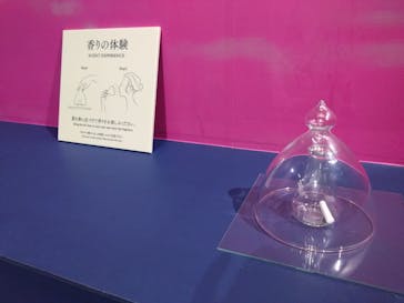 正倉院 THE SHOW －感じる。いま、ここにある奇跡－に投稿された画像（2025/6/15）