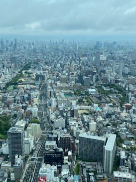 ハルカス300(展望台)に投稿された画像（2025/6/15）