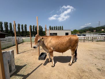 滋賀農業公園ブルーメの丘に投稿された画像（2025/6/15）
