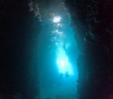 武藤潜水に投稿された画像（2025/6/16）