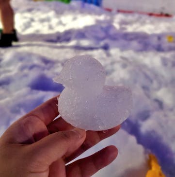 東京あそびマーレに投稿された画像（2025/6/16）