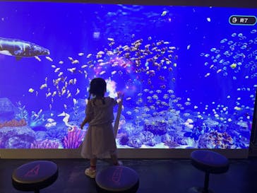 RED° 東京タワーに投稿された画像（2025/6/16）