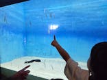大分マリーンパレス水族館 「うみたまご」に投稿された画像（2025/6/16）