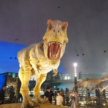 福井県立恐竜博物館に投稿された画像（2025/6/16）