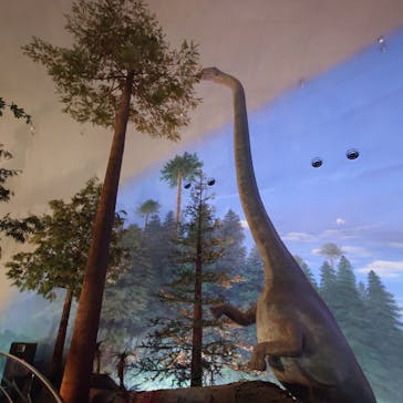 福井県立恐竜博物館に投稿された画像（2025/6/16）