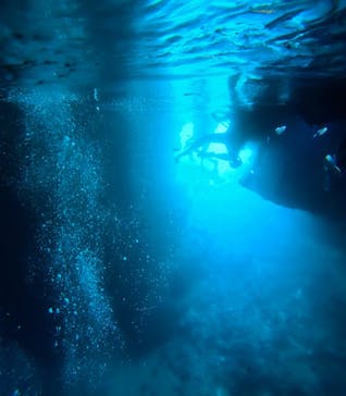 青の洞窟専門店　沖縄ダイビングショップ和に投稿された画像（2025/6/16）