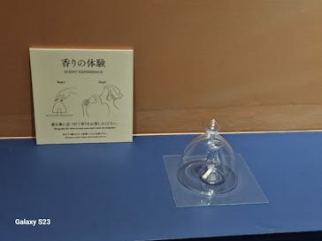 正倉院 THE SHOW －感じる。いま、ここにある奇跡－に投稿された画像（2025/6/16）