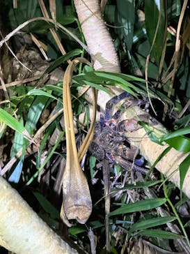 SUNSHINE MARIN 宮古島に投稿された画像（2025/6/16）