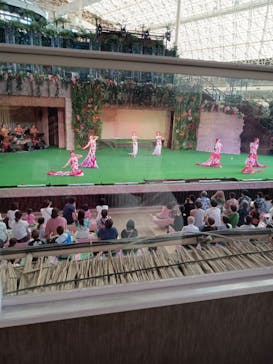 スパリゾートハワイアンズに投稿された画像（2025/6/16）