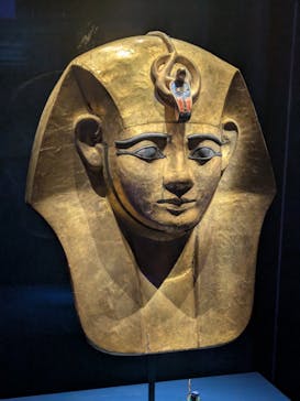 ACN ラムセス大王展 ファラオたちの黄金に投稿された画像（2025/6/16）