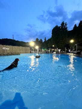 わんダフルネイチャーヴィレッジに投稿された画像（2025/6/16）