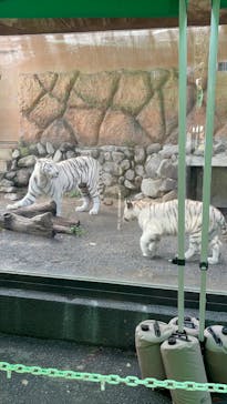 東武動物公園に投稿された画像（2025/6/16）