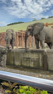 東武動物公園に投稿された画像（2025/6/16）