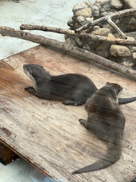 横浜・八景島シーパラダイスに投稿された画像（2025/6/16）