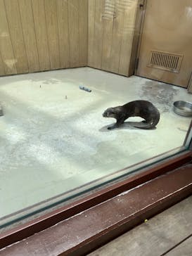 横浜・八景島シーパラダイスに投稿された画像（2025/6/16）