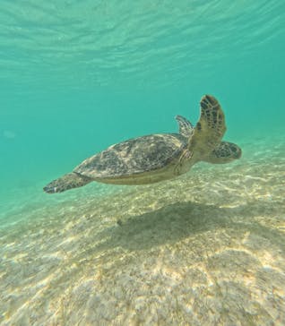 nico 宮古島に投稿された画像（2025/6/16）