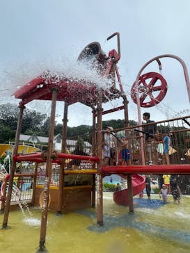 東京サマーランドに投稿された画像（2025/6/16）