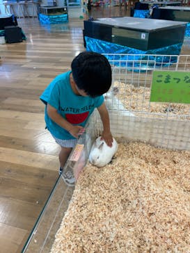 いきもの探検隊湘南に投稿された画像（2025/6/16）