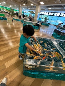 いきもの探検隊湘南に投稿された画像（2025/6/16）