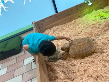 いきもの探検隊湘南に投稿された画像（2025/6/16）