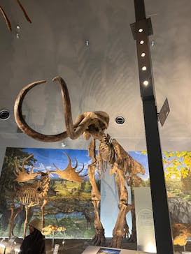 福井県立恐竜博物館に投稿された画像（2025/6/16）