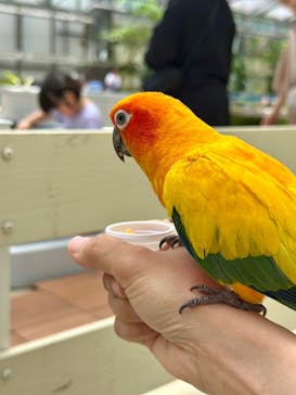掛川花鳥園に投稿された画像（2025/6/16）