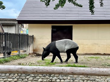 東武動物公園に投稿された画像（2025/6/16）