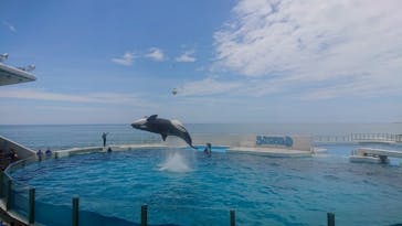 鴨川シーワールドに投稿された画像（2025/6/16）