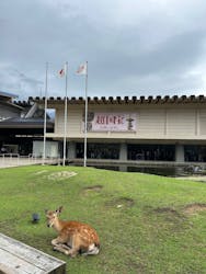 奈良国立博物館開館130年記念特別展「超 国宝―祈りのかがやきー」	に投稿された画像（2025/6/16）