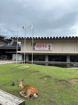 奈良国立博物館開館130年記念特別展「超 国宝―祈りのかがやきー」	に投稿された画像（2025/6/16）