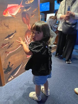 新江ノ島水族館に投稿された画像（2025/6/16）