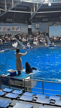 マクセル アクアパーク品川に投稿された画像（2025/6/16）