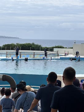 沖縄美ら海水族館に投稿された画像（2025/6/16）