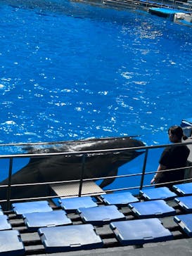 マクセル アクアパーク品川に投稿された画像（2025/6/16）