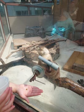 横浜・八景島シーパラダイスに投稿された画像（2025/6/16）