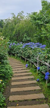 横浜イングリッシュガーデンに投稿された画像（2025/6/16）