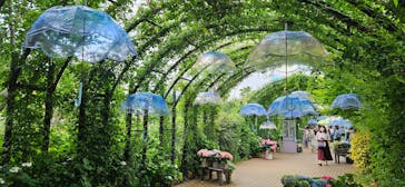 横浜イングリッシュガーデンに投稿された画像（2025/6/16）