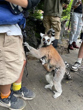 伊豆シャボテン動物公園に投稿された画像（2025/6/16）