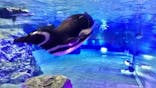 すみだ水族館に投稿された画像（2025/6/16）