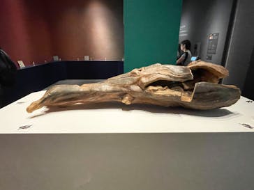 正倉院 THE SHOW －感じる。いま、ここにある奇跡－に投稿された画像（2025/6/16）