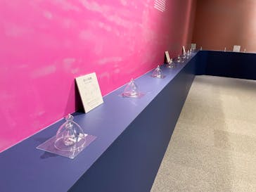 正倉院 THE SHOW －感じる。いま、ここにある奇跡－に投稿された画像（2025/6/16）