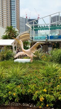 サンシャイン水族館に投稿された画像（2025/6/16）