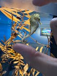 AQUARIUM × ART　atoaに投稿された画像（2025/6/16）