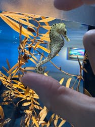 AQUARIUM × ART　atoaに投稿された画像（2025/6/16）